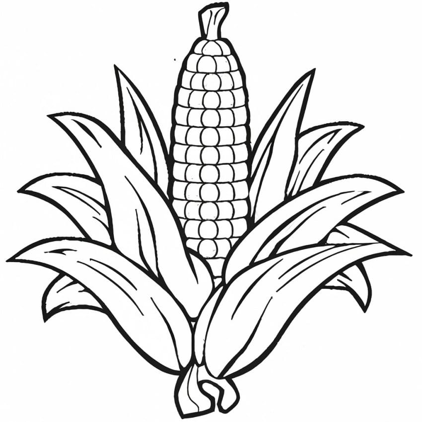 Fise de colorat cu Porumb de colorat p06