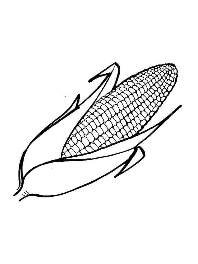 Fise de colorat cu Porumb de colorat p18