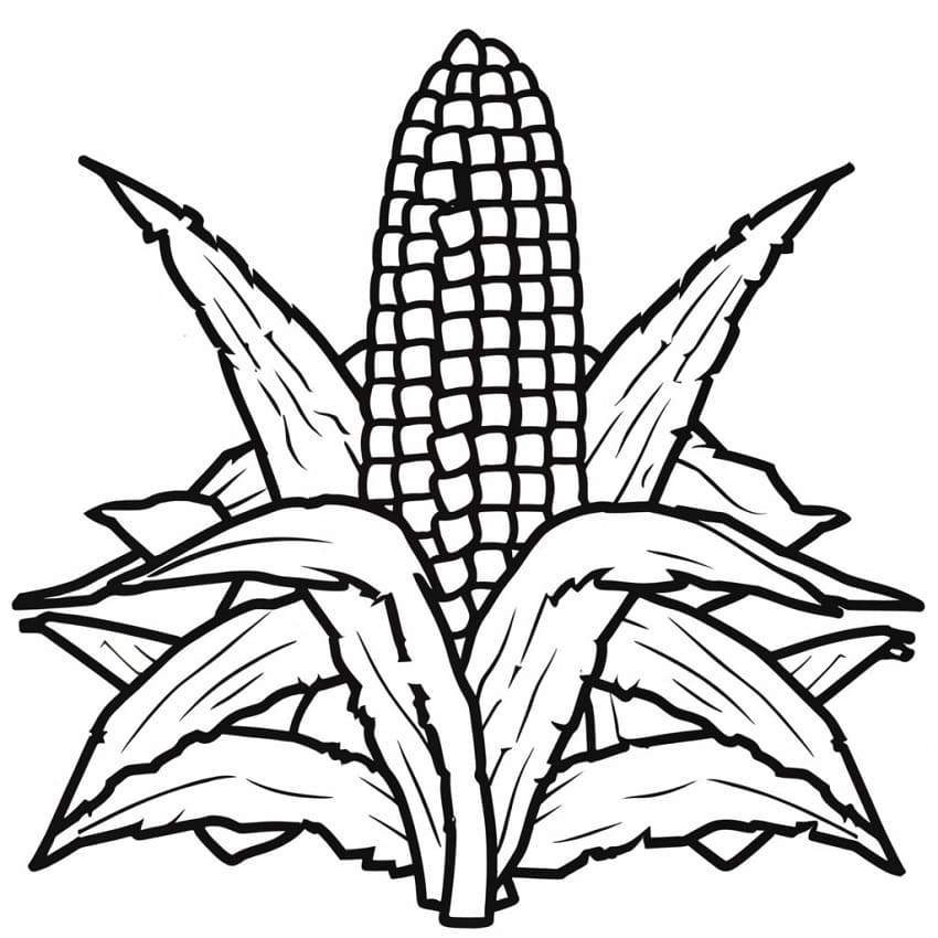 Fise de colorat cu Porumb de colorat p19