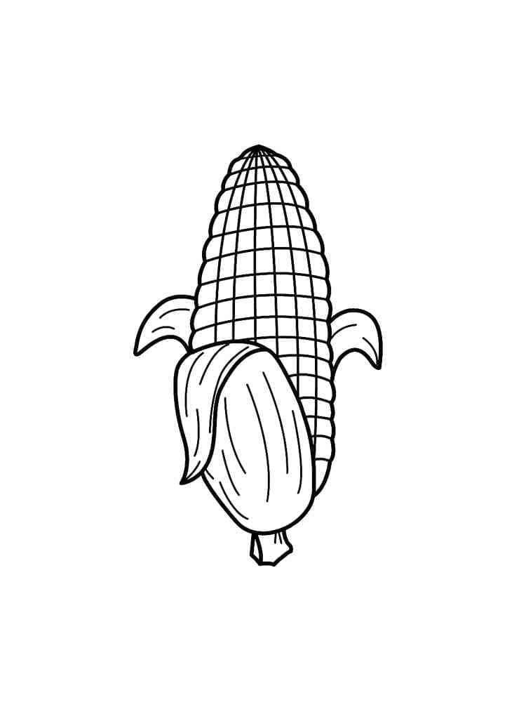 Fise de colorat cu Porumb de colorat p21