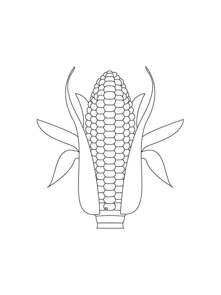 Fise de colorat cu Porumb de colorat p26