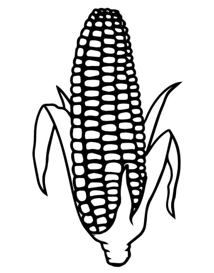 Fise de colorat cu Porumb de colorat p29