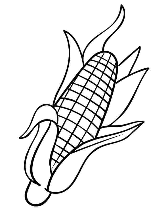 Fise de colorat cu Porumb de colorat p30
