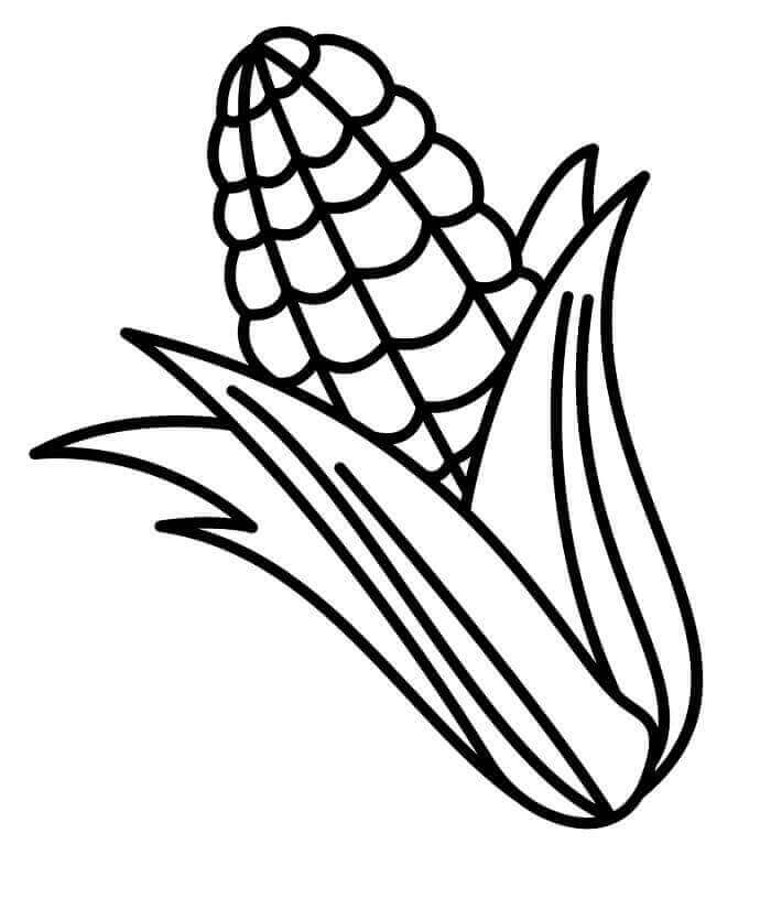 Fise de colorat cu Porumb de colorat p33
