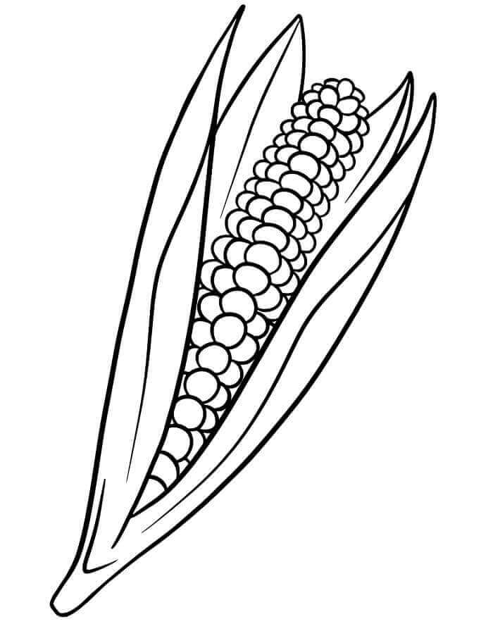 Fise de colorat cu Porumb de colorat p34