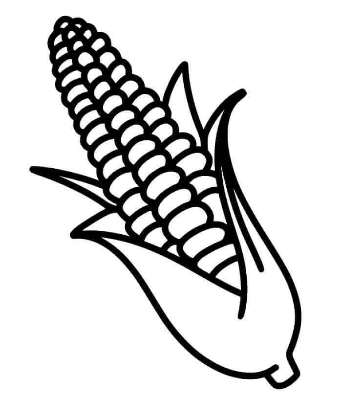 Fise de colorat cu Porumb de colorat p35