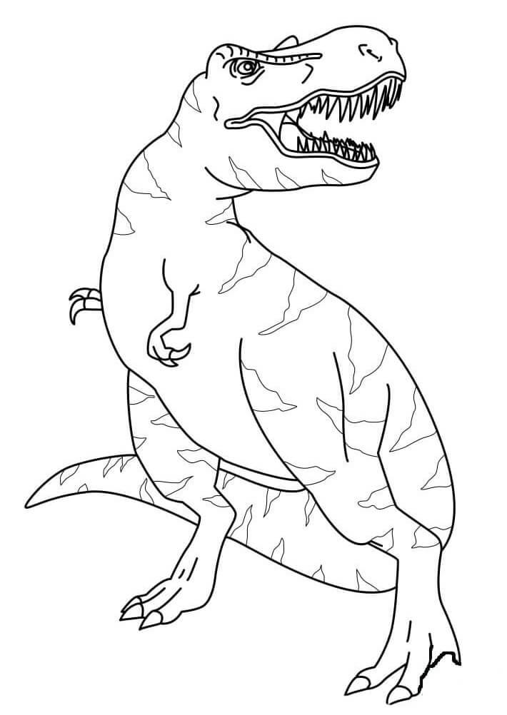 Fise de colorat cu T-Rex de colorat p31
