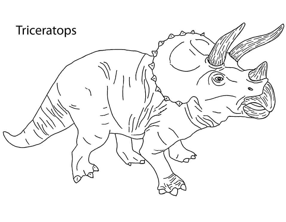 Fise de colorat cu Triceratops de colorat p01
