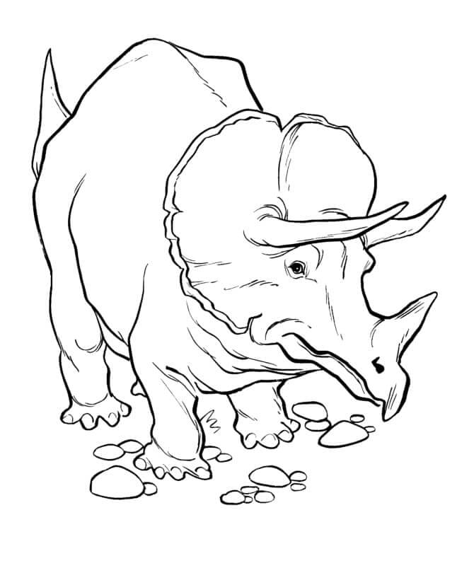 Fise de colorat cu Triceratops de colorat p02