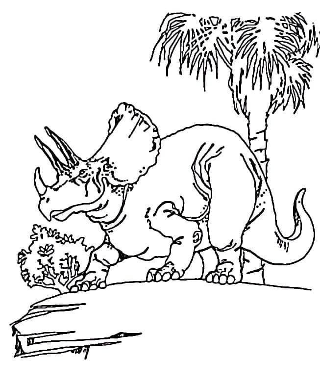 Fise de colorat cu Triceratops de colorat p09