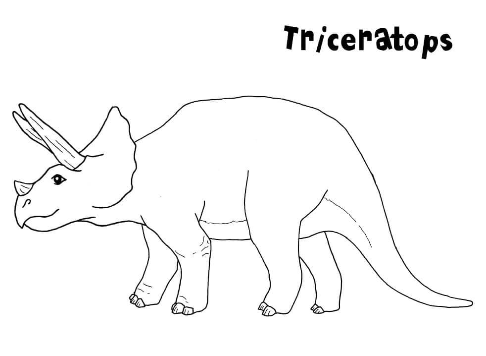Fise de colorat cu Triceratops de colorat p14