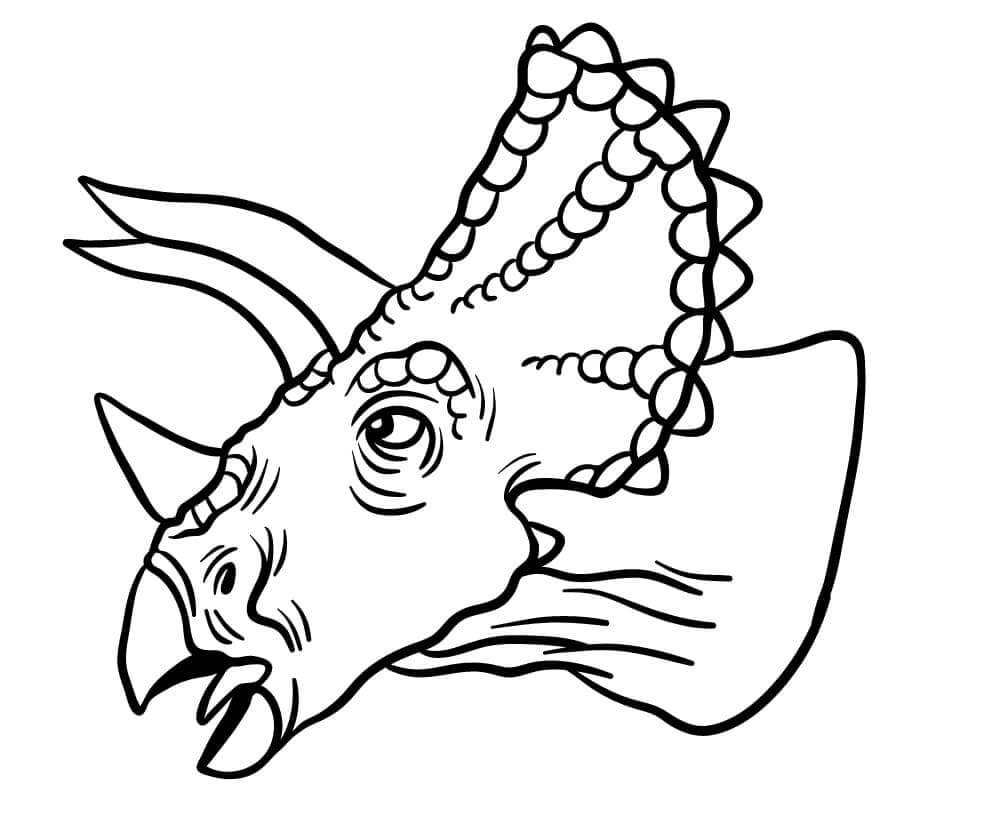 Fise de colorat cu Triceratops de colorat p17