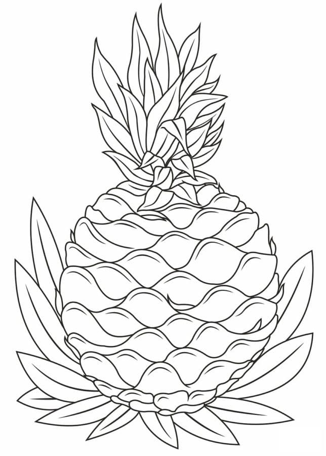 Fise de colorat cu Ananas de colorat p09