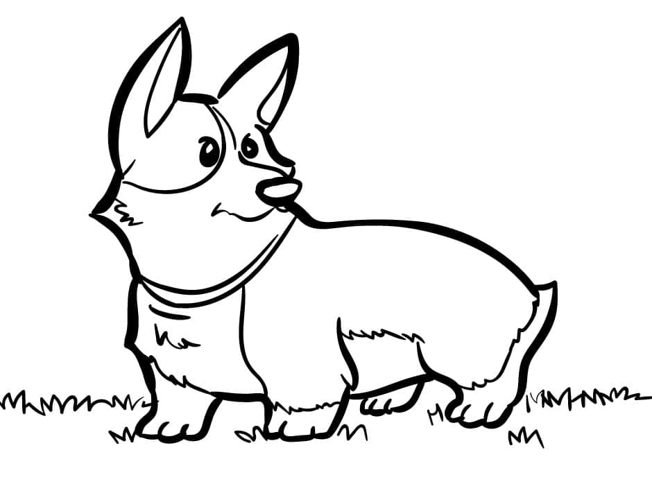 Fise de colorat cu Corgi de colorat 23