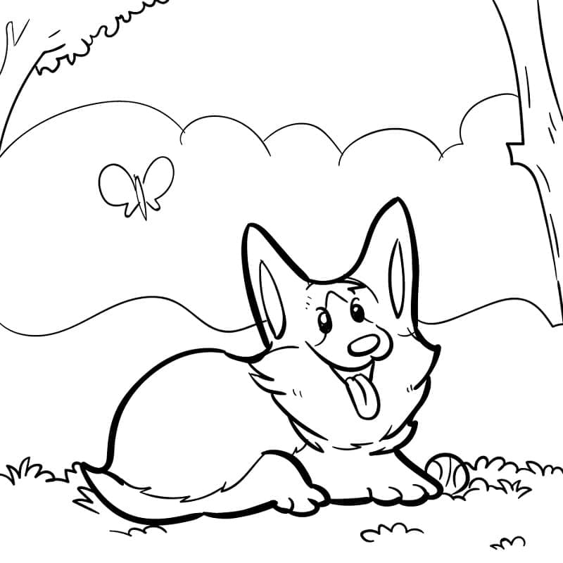 Fise de colorat cu Corgi de colorat 24