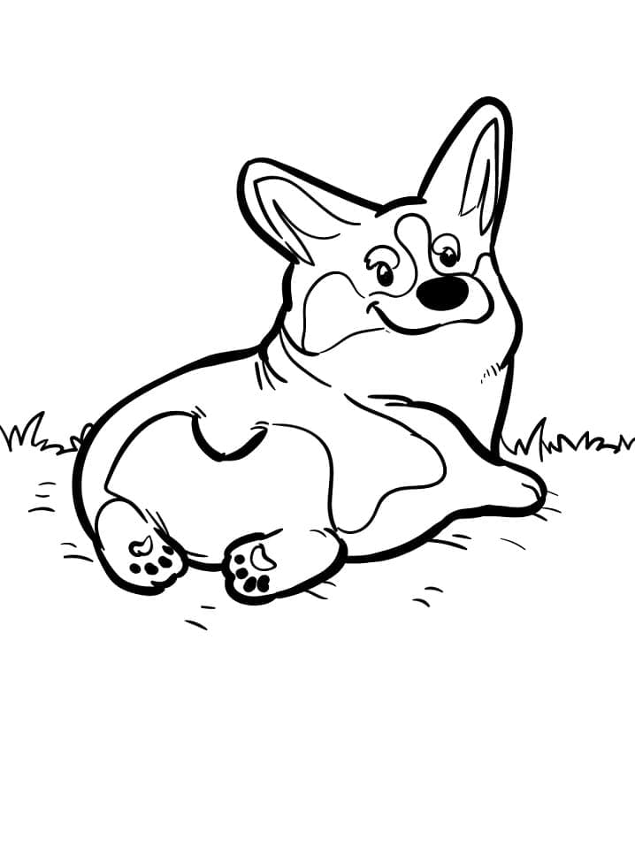 Fise de colorat cu Corgi de colorat 25