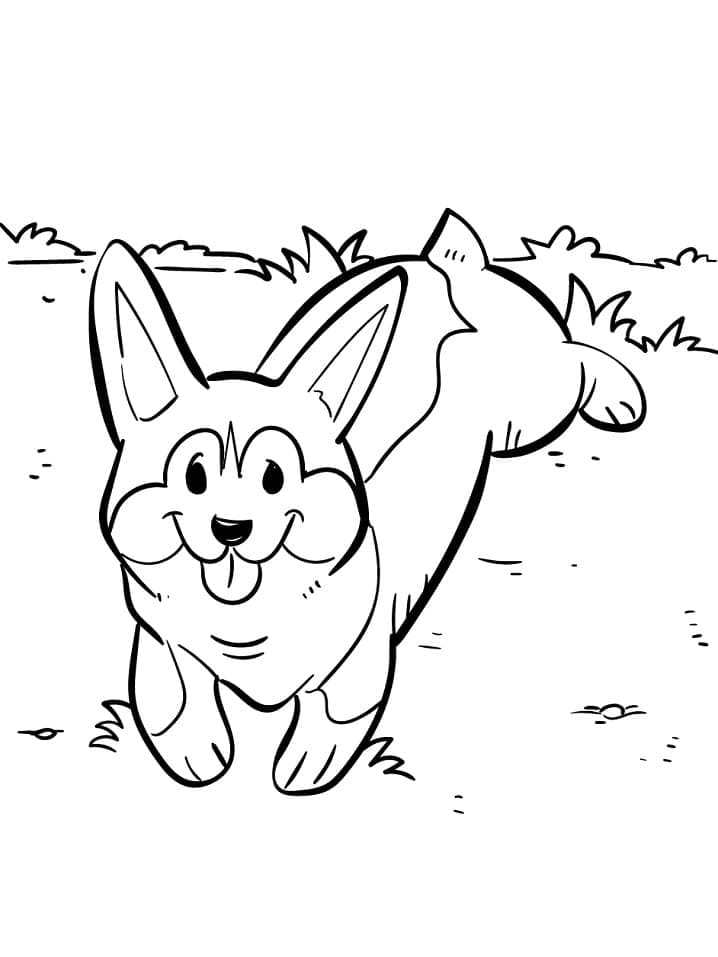 Fise de colorat cu Corgi de colorat 27