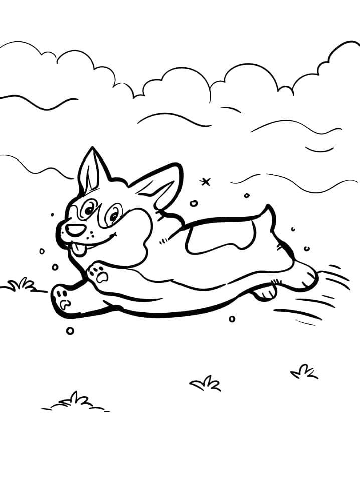 Fise de colorat cu Corgi de colorat 28