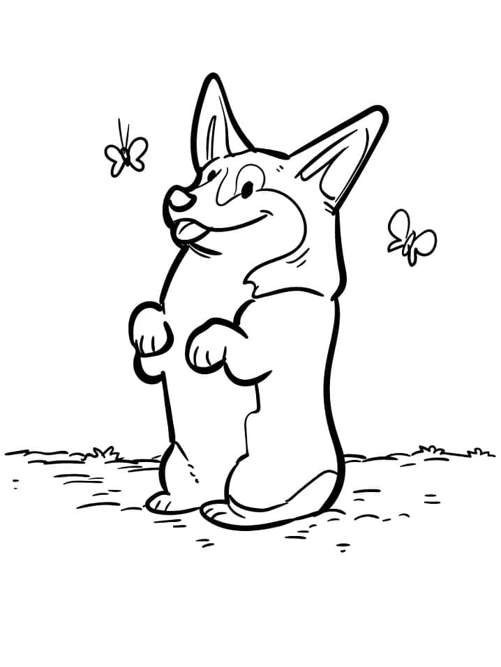 Fise de colorat cu Corgi de colorat 29