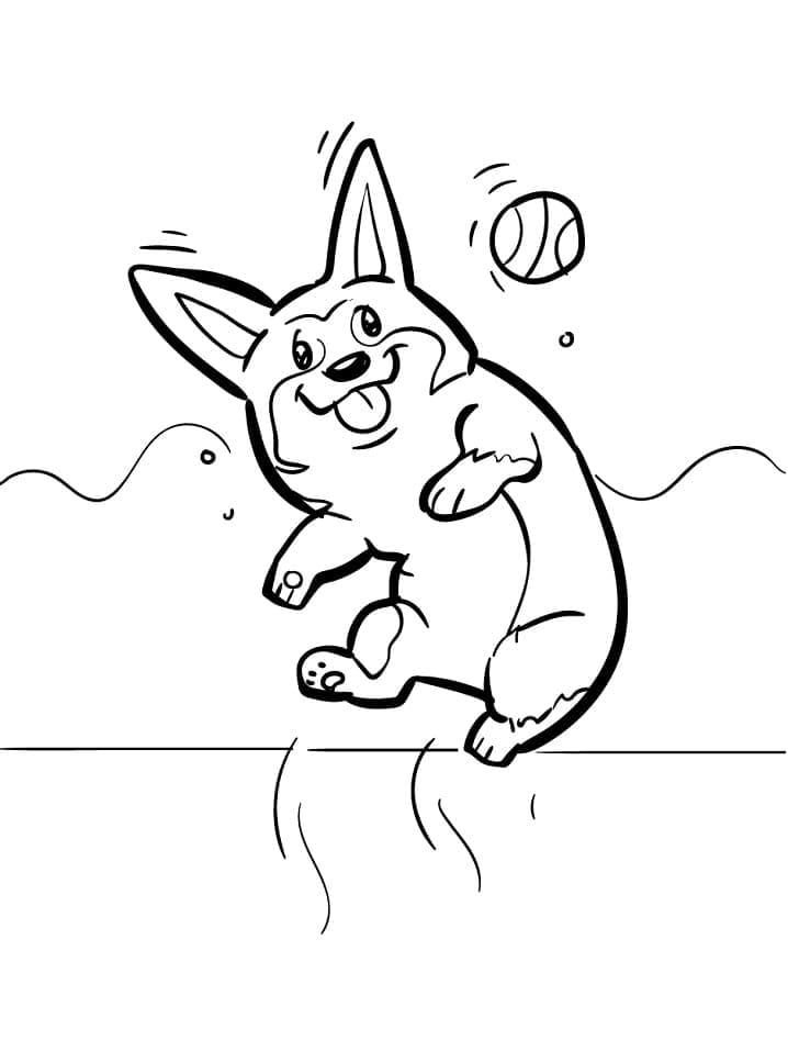 Fise de colorat cu Corgi de colorat 30