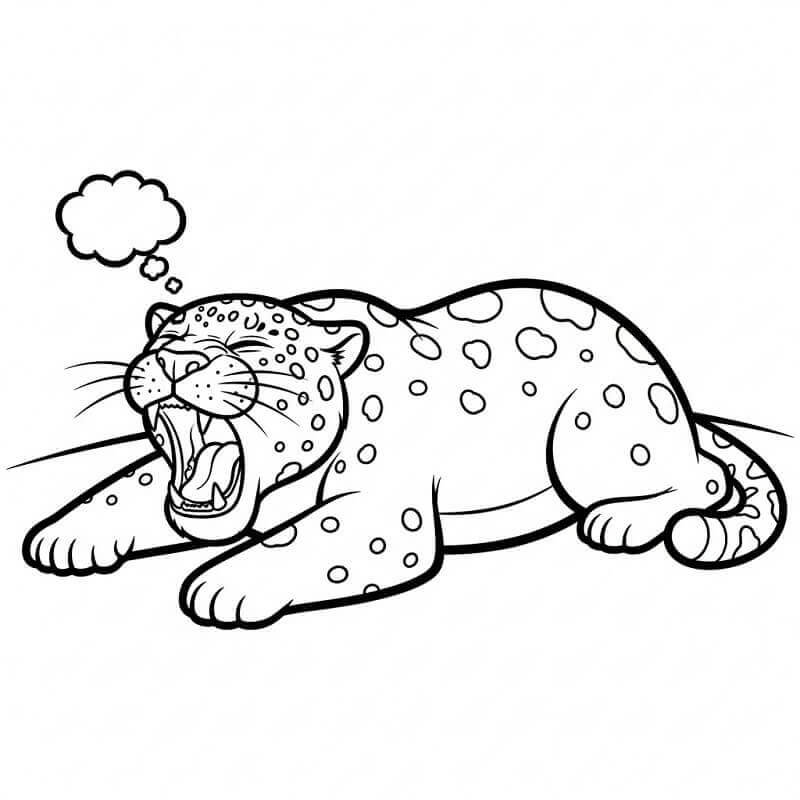 Fise de colorat cu Leopard de colorat p01