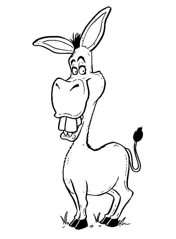 Fise de colorat cu Magari de colorat p42