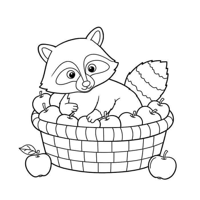 Fise de colorat cu Ratoni de colorat p24