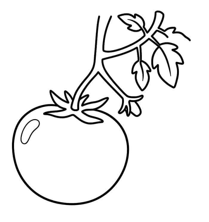 Fise de colorat cu Rosii de colorat p13