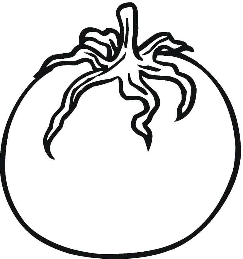 Fise de colorat cu Rosii de colorat p40