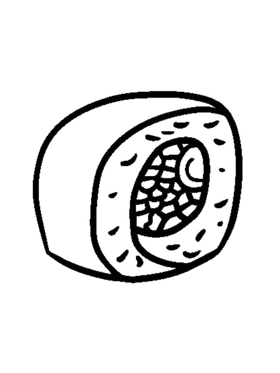 Fise de colorat cu Sushi de colorat p25