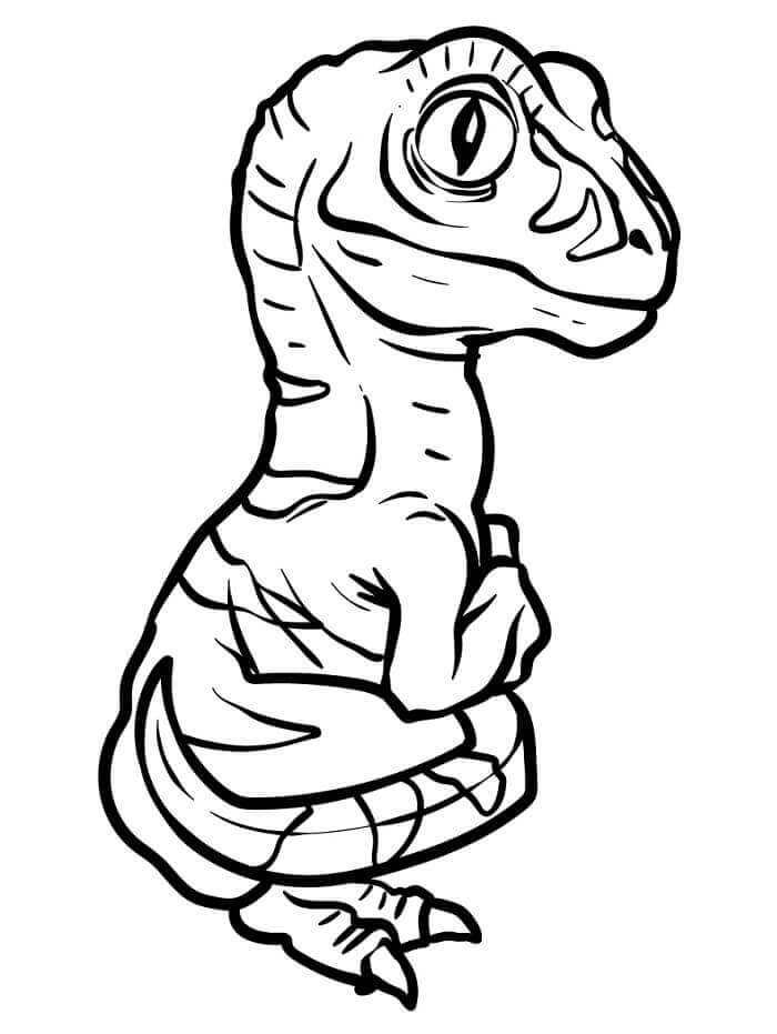 Fise de colorat cu Velociraptor de colorat p03