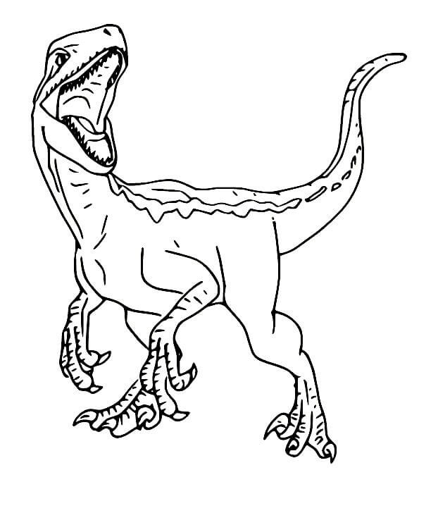 Fise de colorat cu Velociraptor de colorat p04