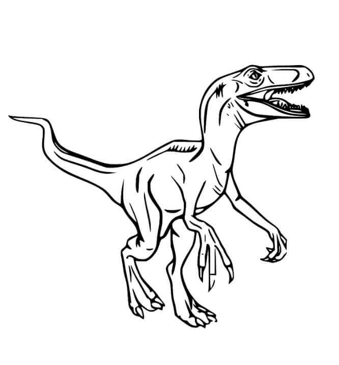 Fise de colorat cu Velociraptor de colorat p05