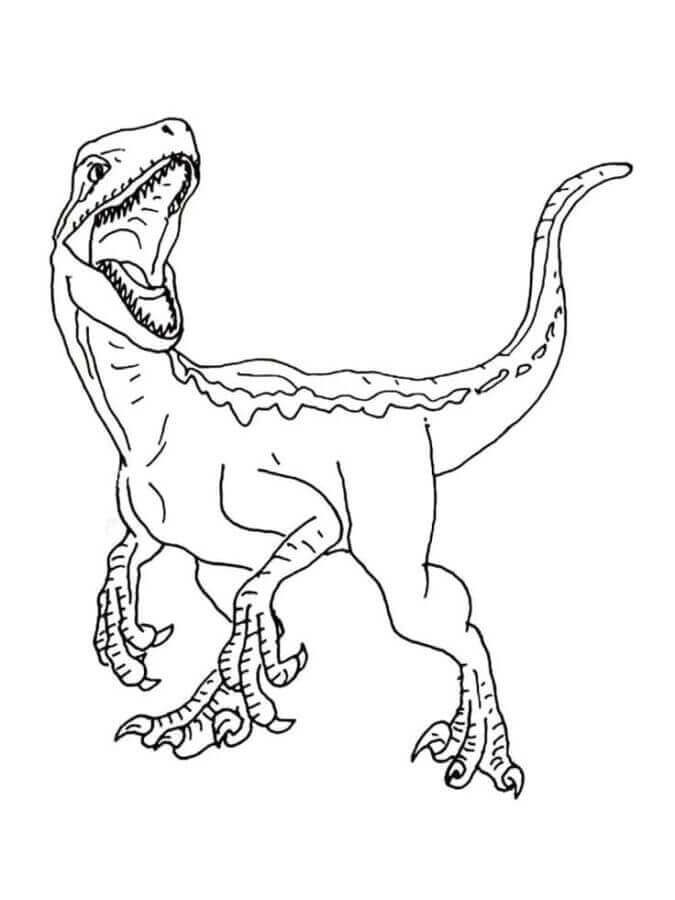Fise de colorat cu Velociraptor de colorat p09