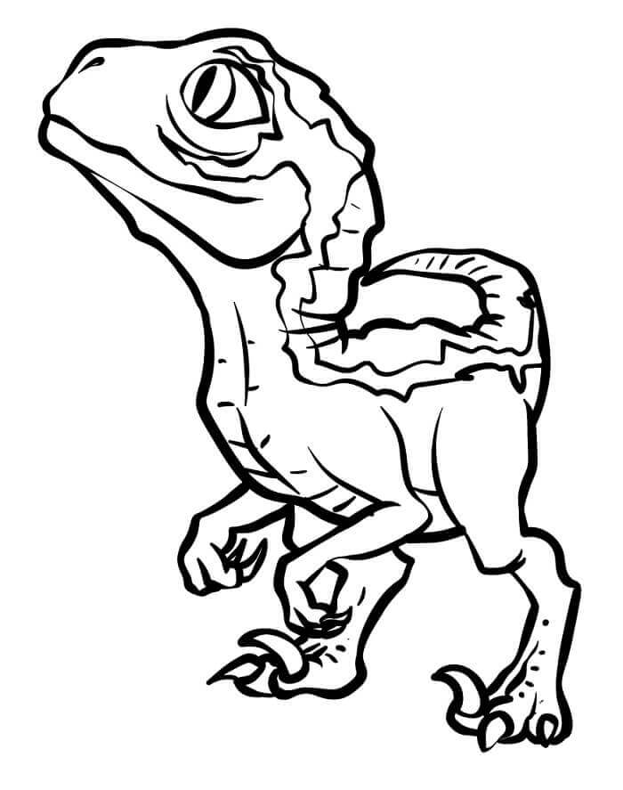 Fise de colorat cu Velociraptor de colorat p18