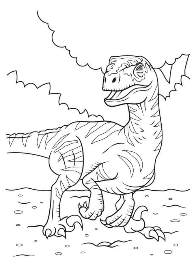 Fise de colorat cu Velociraptor de colorat p33