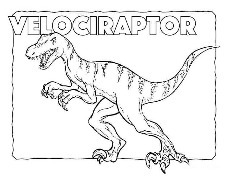 Fise de colorat cu Velociraptor de colorat p34