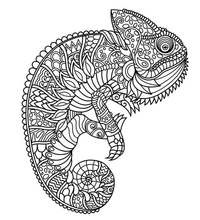 Fise de colorat cu Zentangle de colorat p15