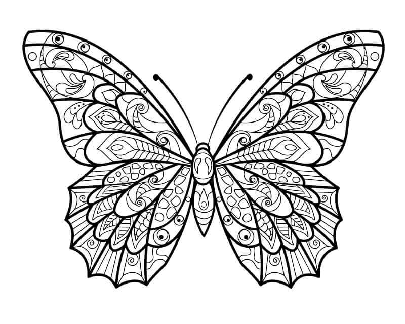 Fise de colorat cu Zentangle de colorat p22