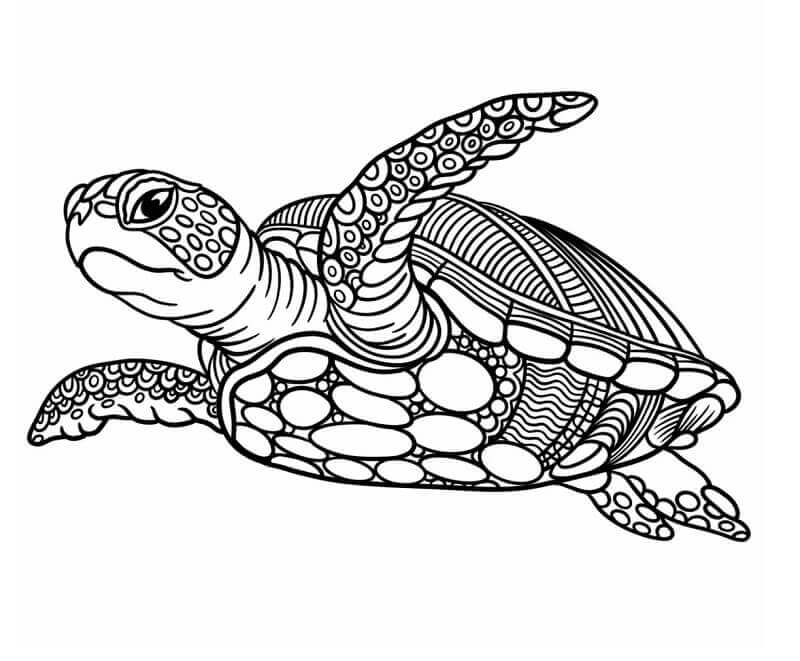 Fise de colorat cu Zentangle de colorat p28