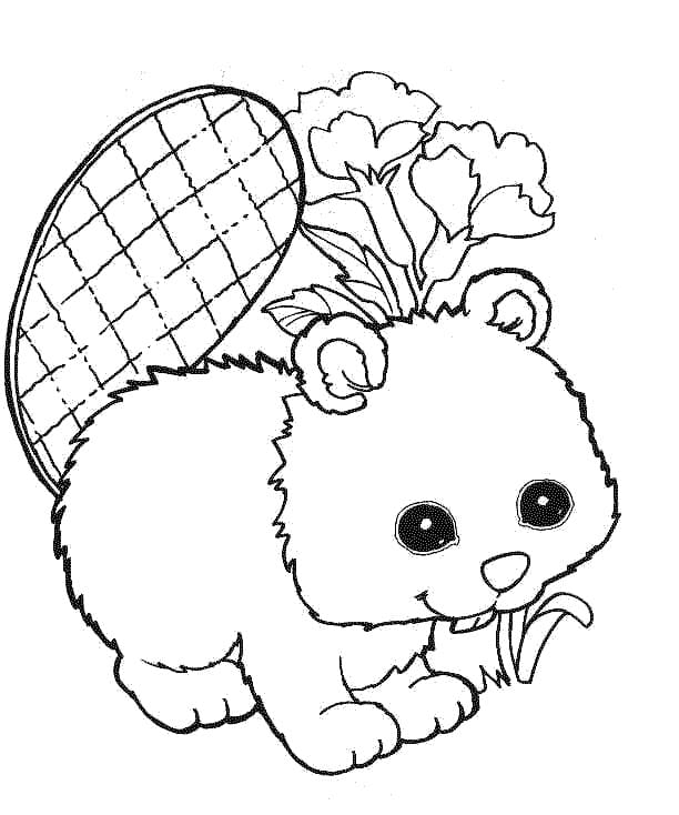 Fise de colorat cu Castori de colorat p10