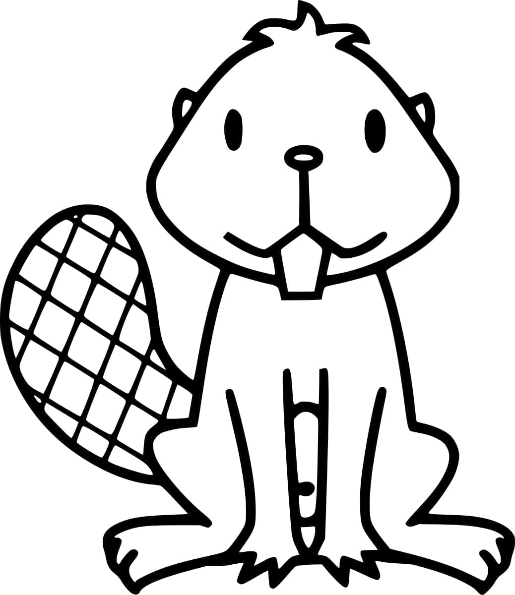 Fise de colorat cu Castori de colorat p11