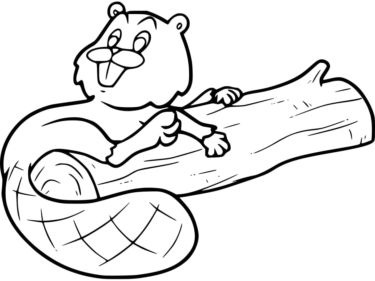 Fise de colorat cu Castori de colorat p18