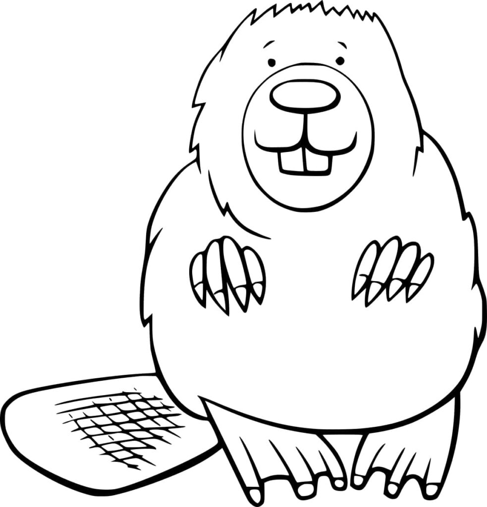 Fise de Colorat cu Castori de colorat p19