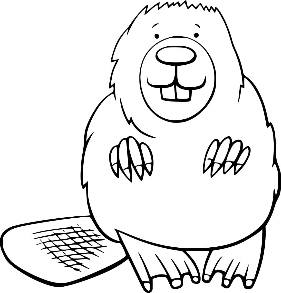 Fise de colorat cu Castori de colorat p19