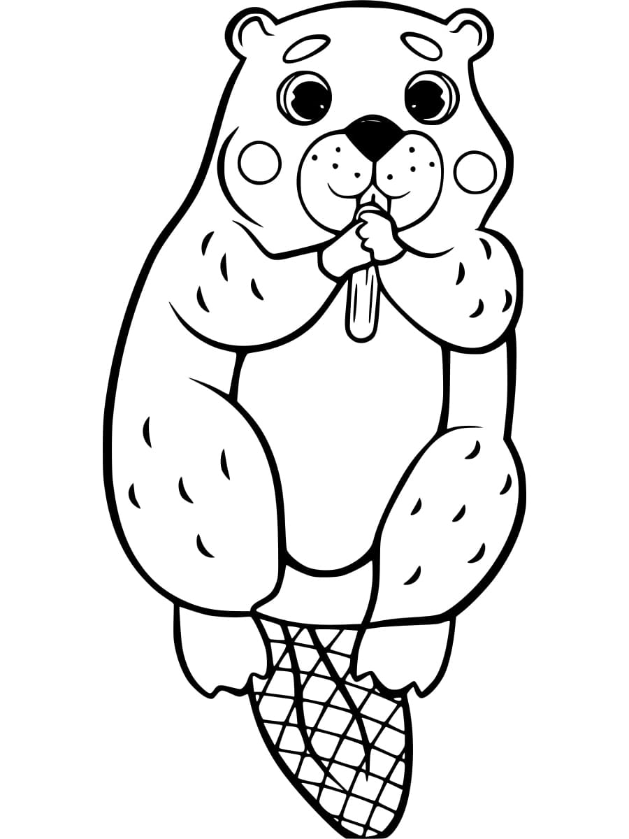 Fise de colorat cu Castori de colorat p22