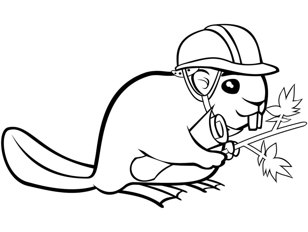 Fise de colorat cu Castori de colorat p26