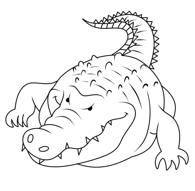 Fise de colorat cu Crocodili de colorat p01