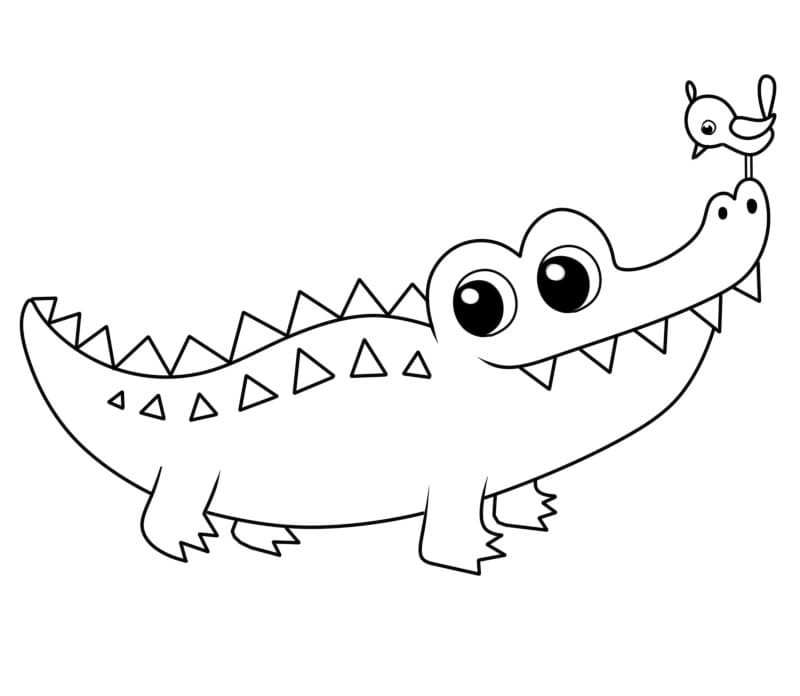 Fise de colorat cu Crocodili de colorat p02