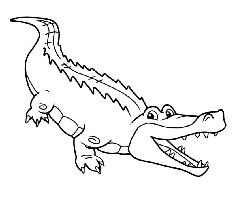 Fise de colorat cu Crocodili de colorat p12